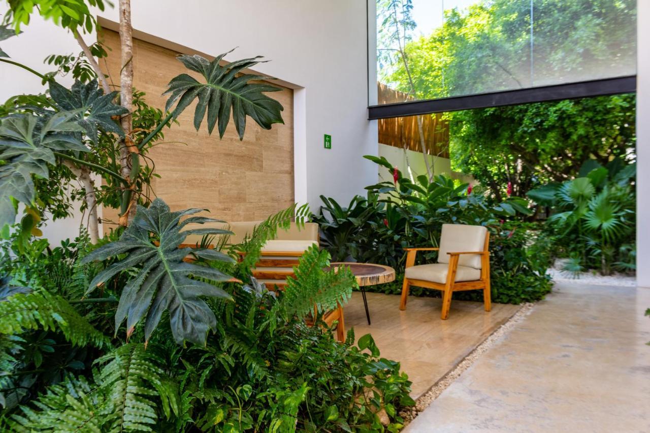 Big Studio At Kaab By The Beach With Roof Top Pool, Sauna And Jacuzzi Near Paseo Del Carmen Mall Playa del Carmen Exterior photo